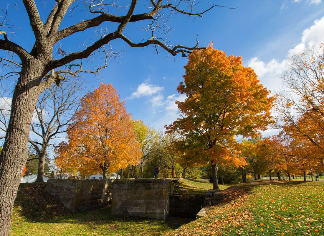 Fairfield, OH - Beautiful Scenic View of a Park During Autumn in Lockville Park, Ohio